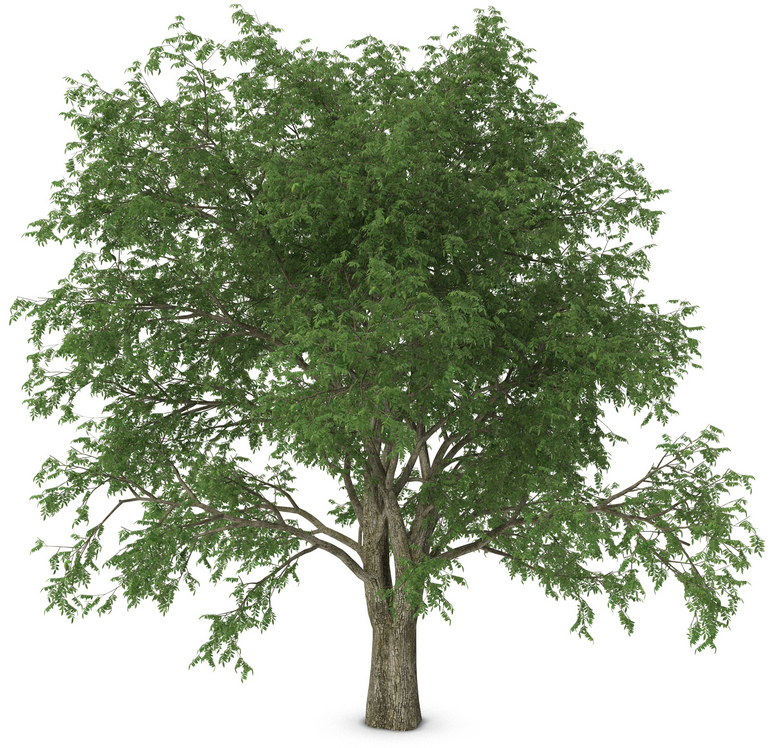 About Pecan Flats Ranch – Pecan Flats Ranch